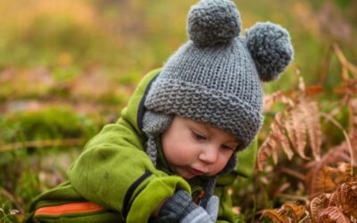 What is the Role of an Adoption Agency?